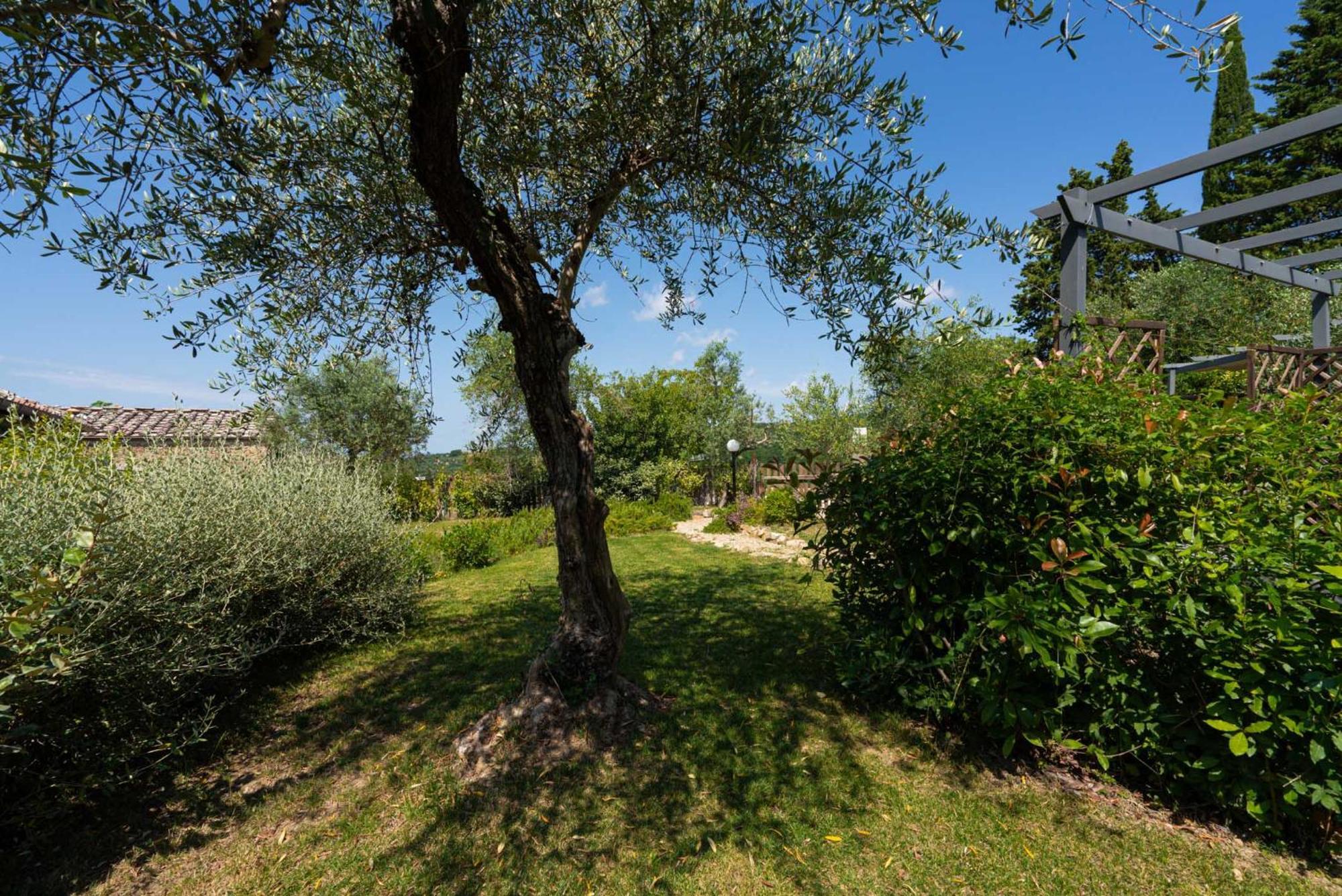 Casa Alta Apartment Greve in Chianti